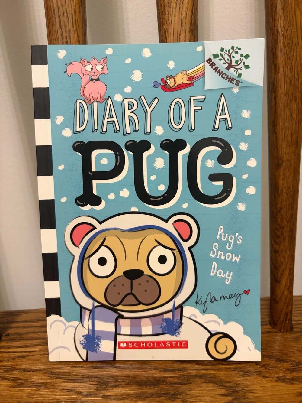 Scholastic Diary of a Pug Pug's Snow Day Book